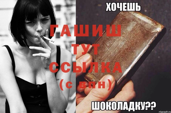 спиды Горняк