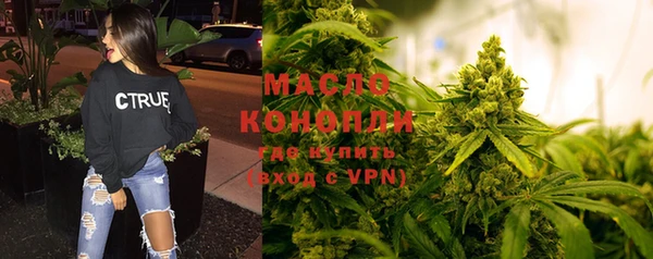спиды Горняк