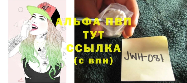 спиды Горняк