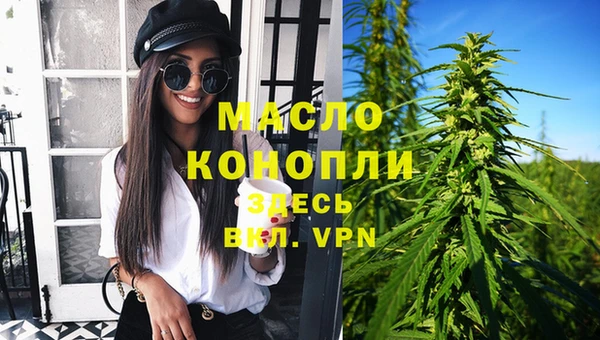 спиды Горняк