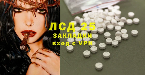 спиды Горняк